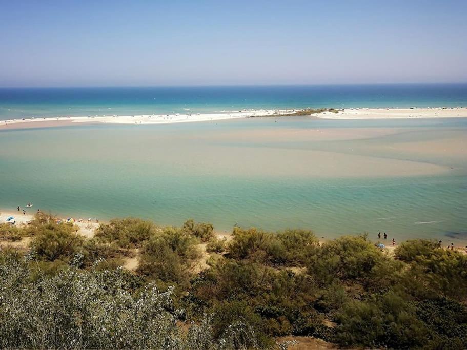 New!! 1 Bedroom Nova De Cacela Apartment *